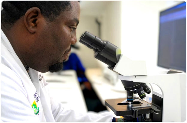Histopathology, A&E KML Diagnostic Centre