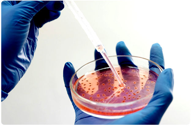 immunology, A&E KML Diagnostic Centre